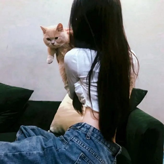 八美图