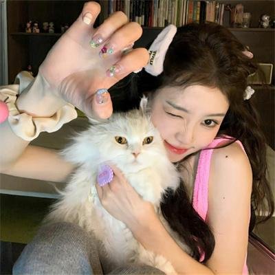 飞贼黑猫