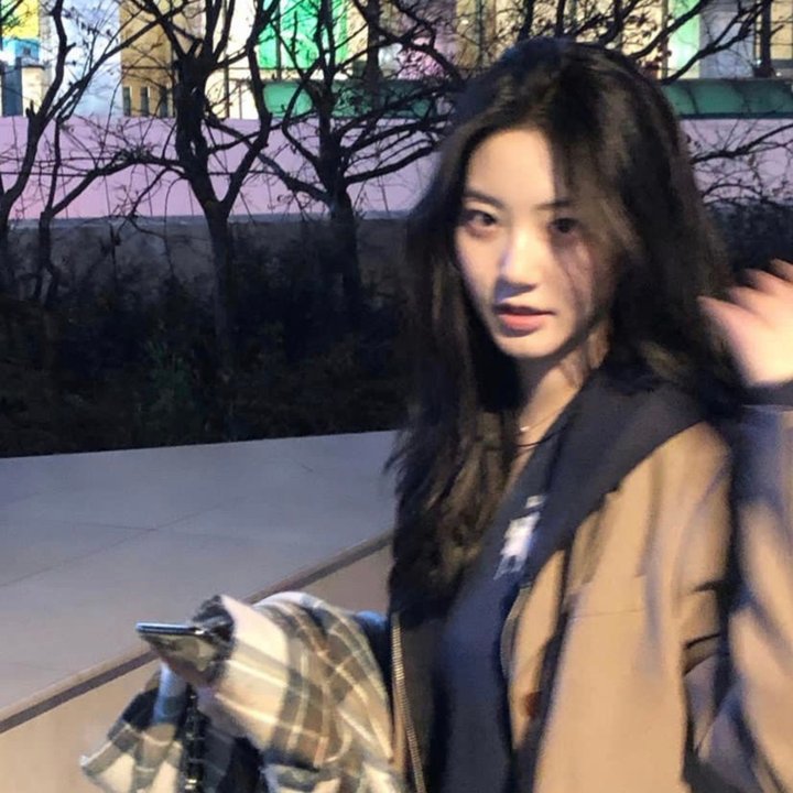 少年鳄鱼队3